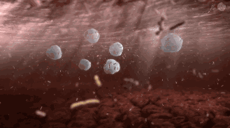 1597110102419106.gif 640.gif