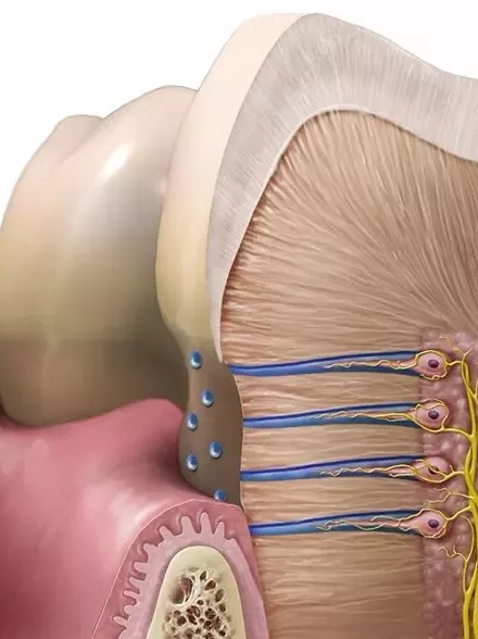 1597115648821251.png 43.png