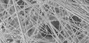 1741310979566191.png 截圖20250307092912.png