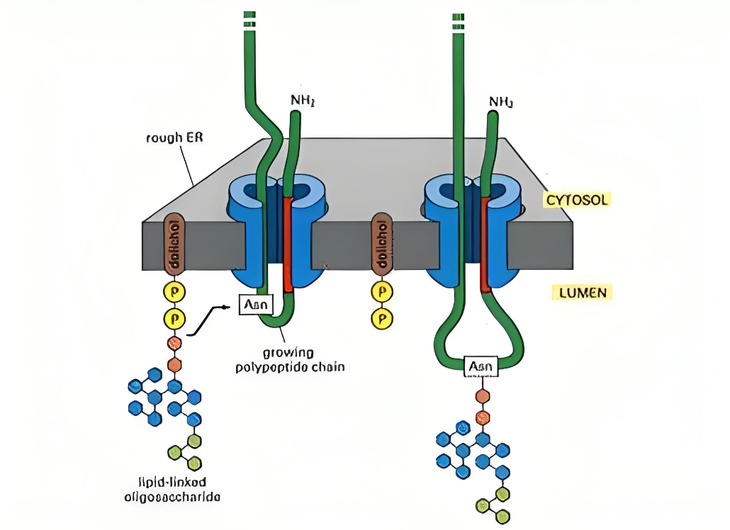 1741311136235166.png 截圖20250307093209.png
